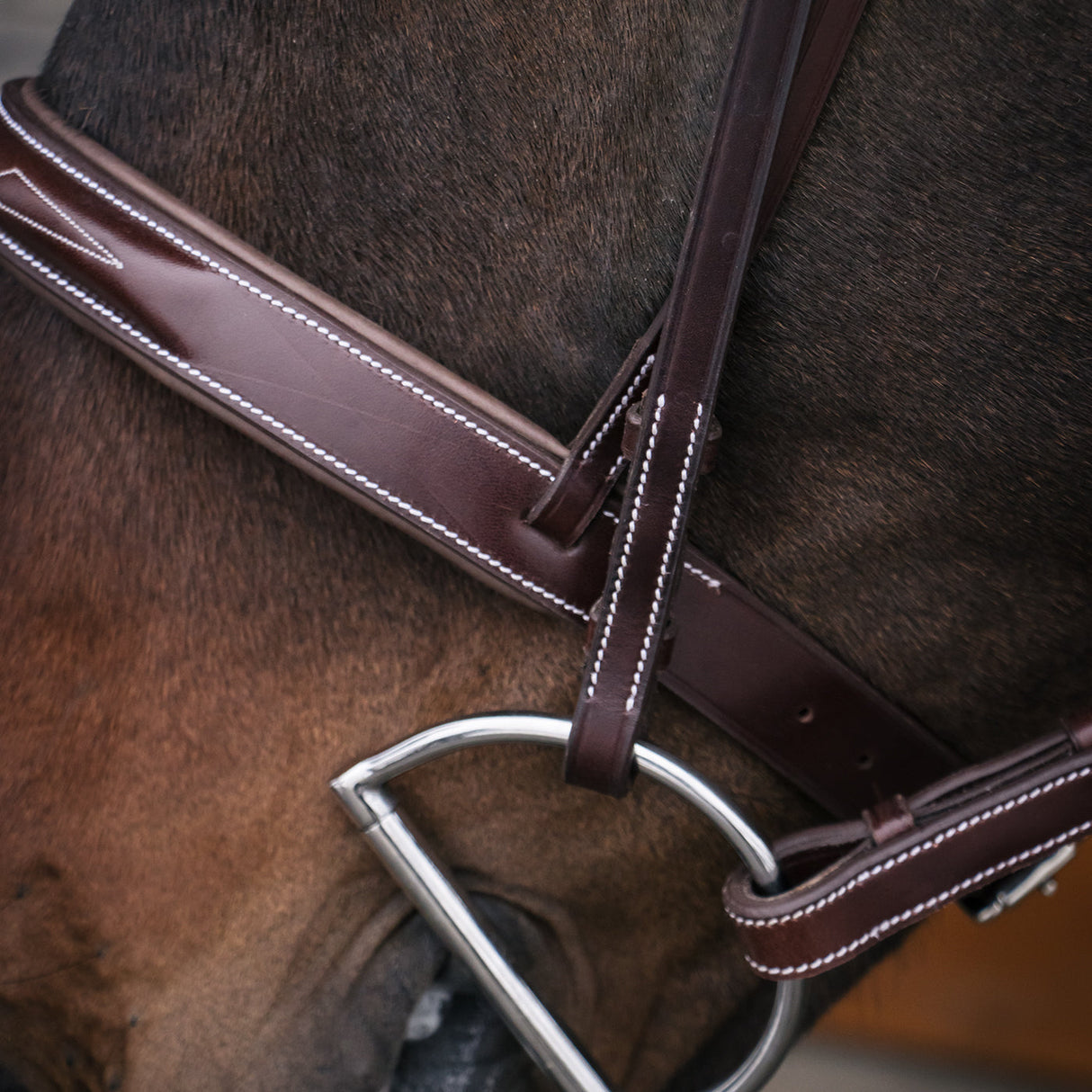 Mondega Coretto Wide Noseband Hunter Bridle