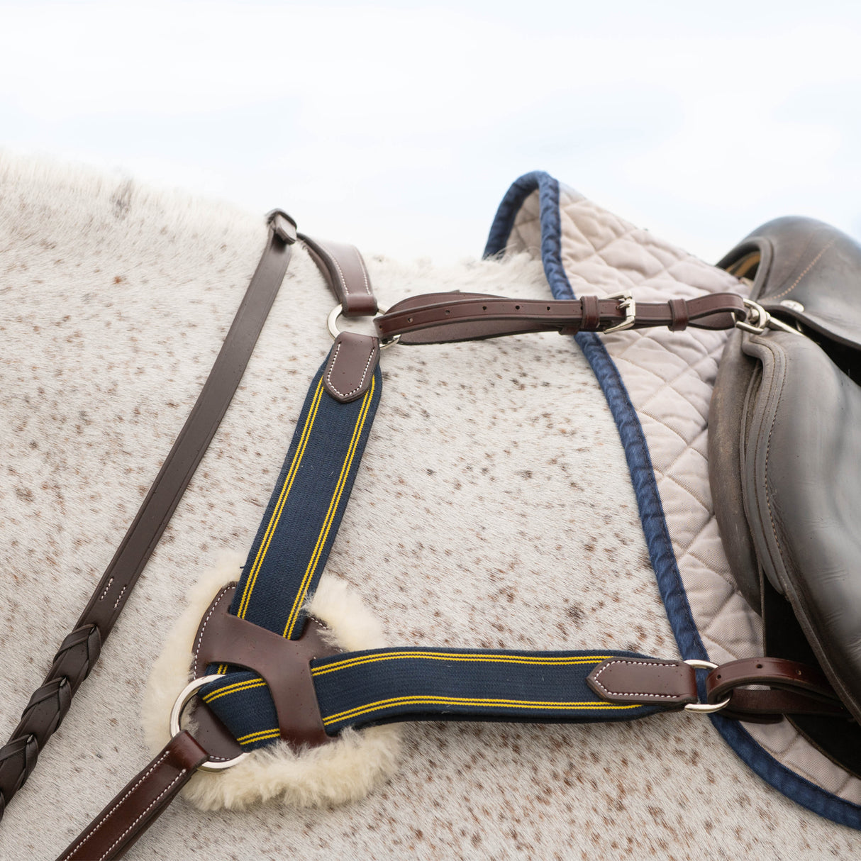 Mondega 5 Point Breastplate