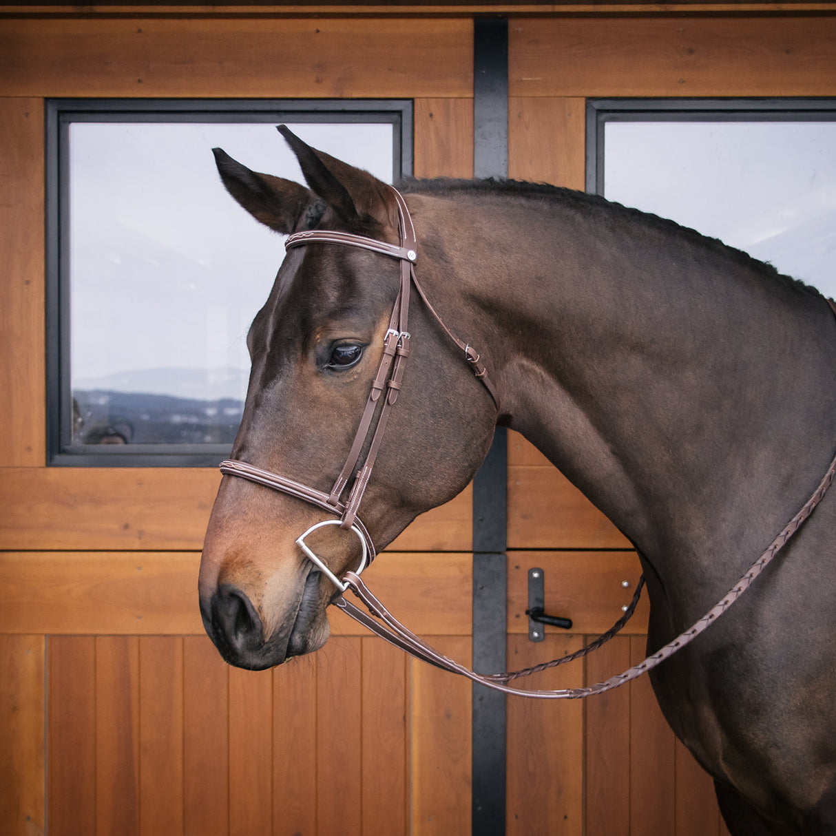 Mondega Kona Skinny Hunter Bridle