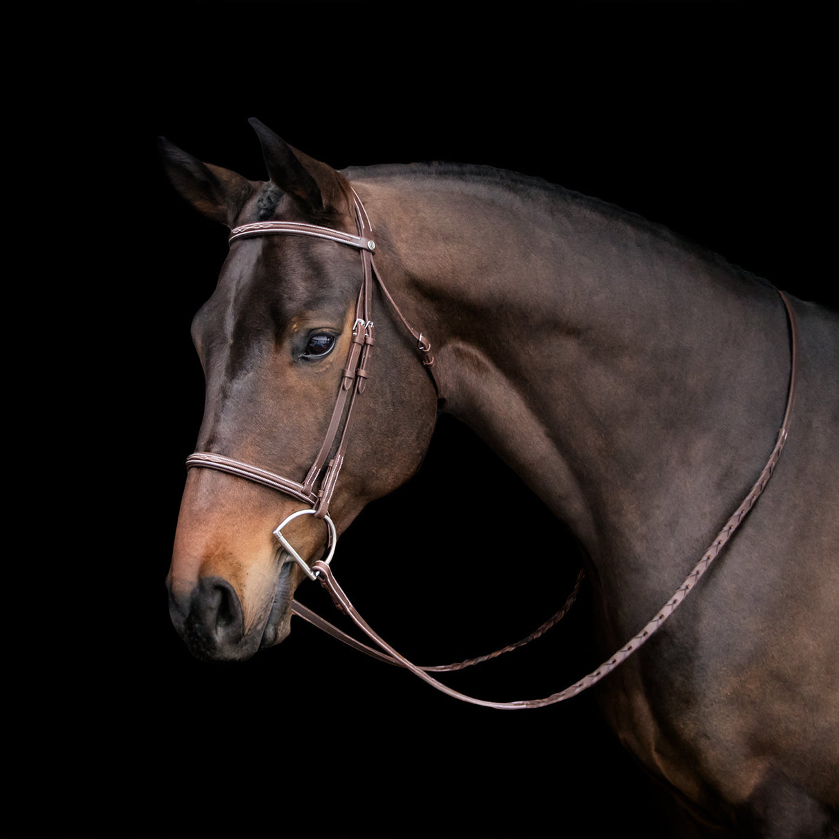 Mondega Kona Skinny Hunter Bridle
