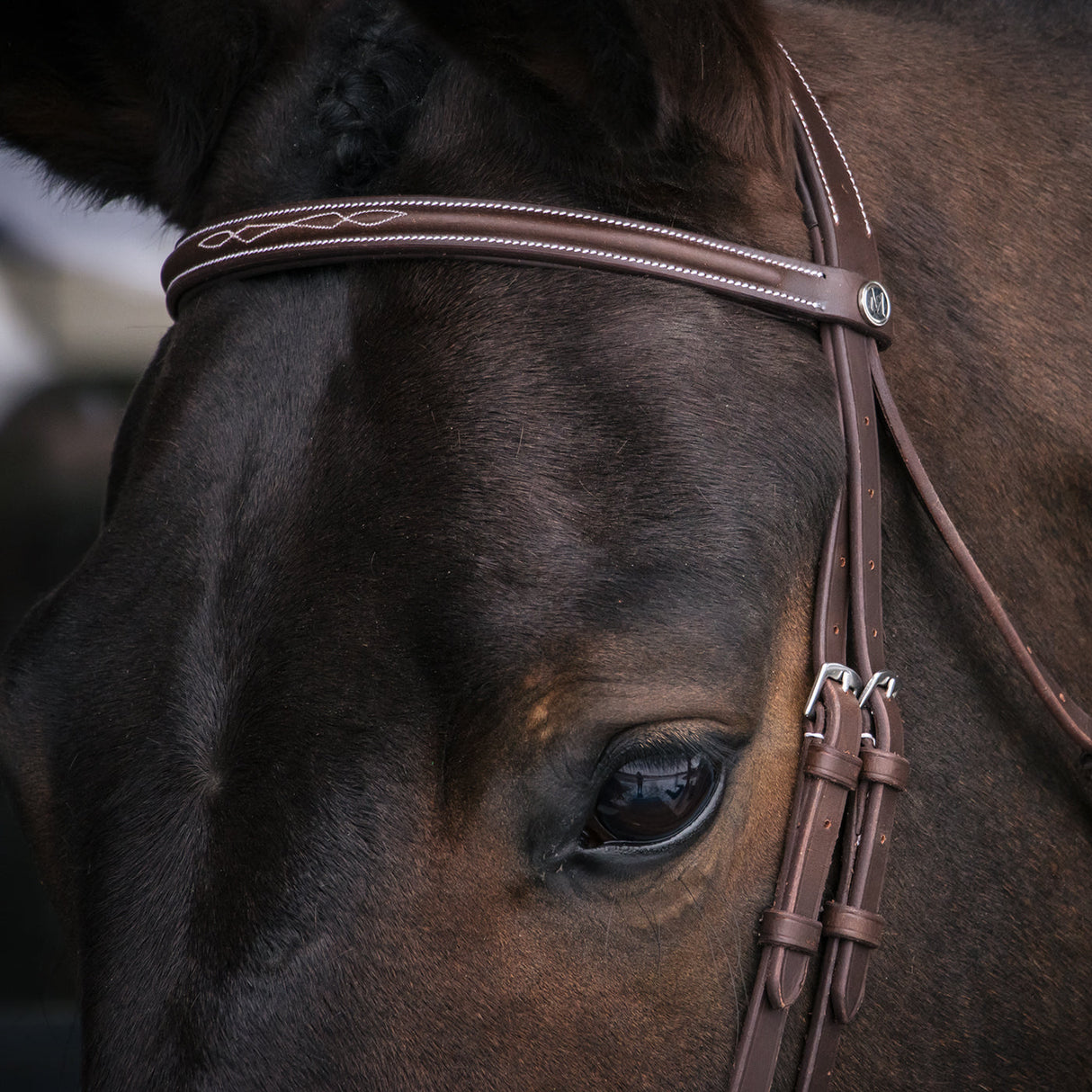Mondega Kona Skinny Hunter Bridle