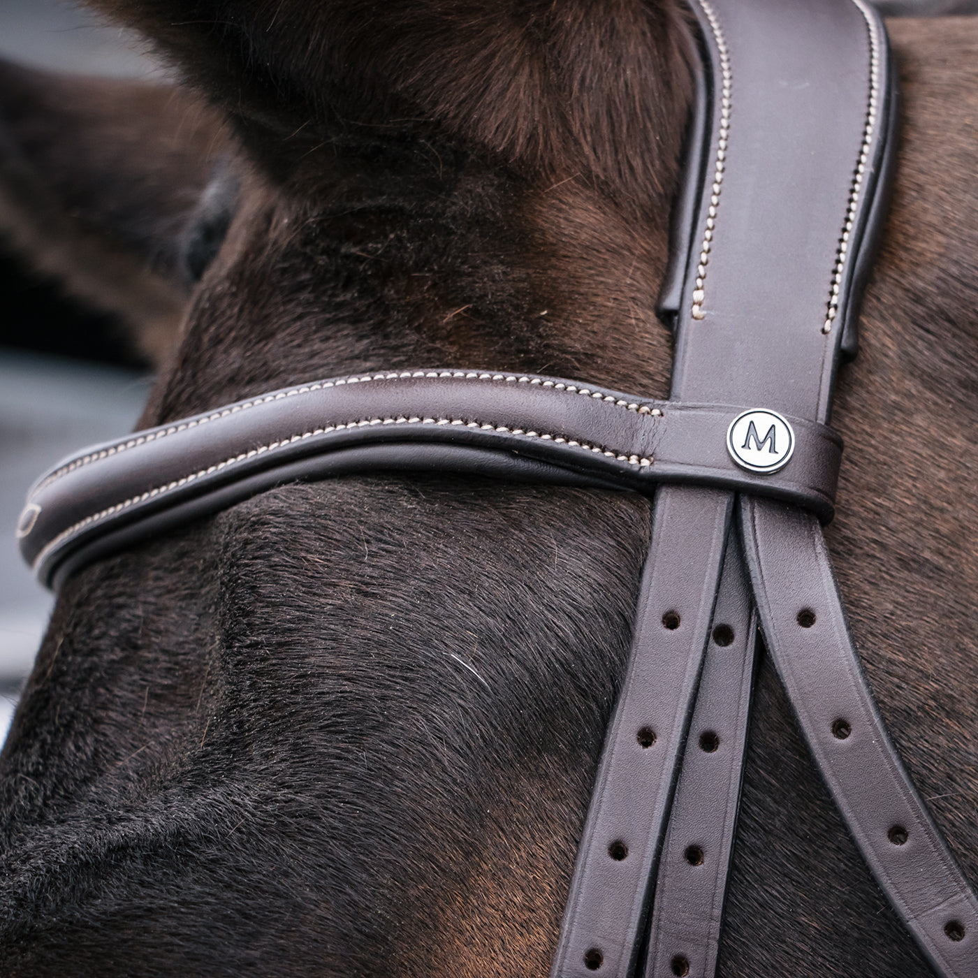 Mondega Marocchino Hunter Bridle