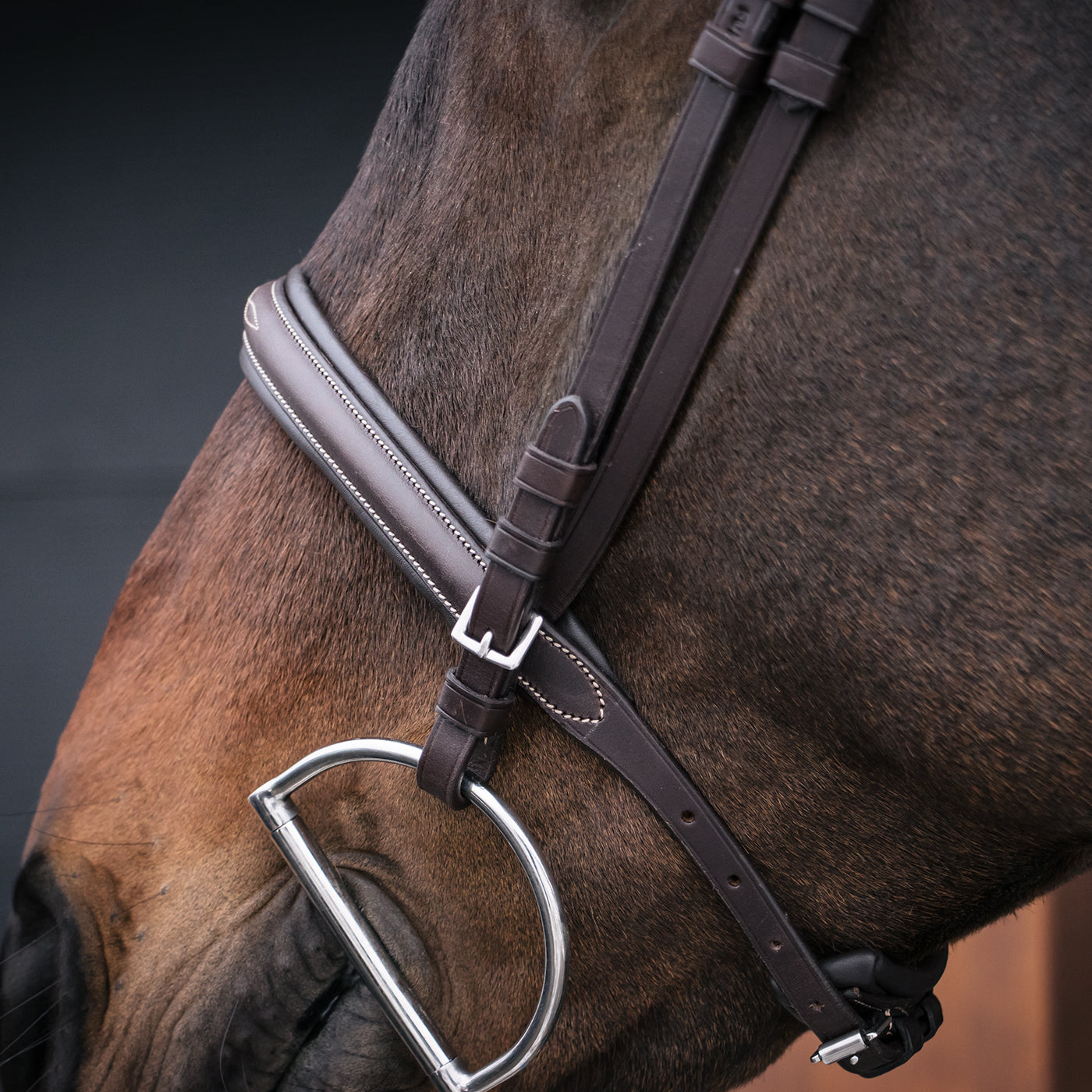 Mondega Marocchino Hunter Bridle
