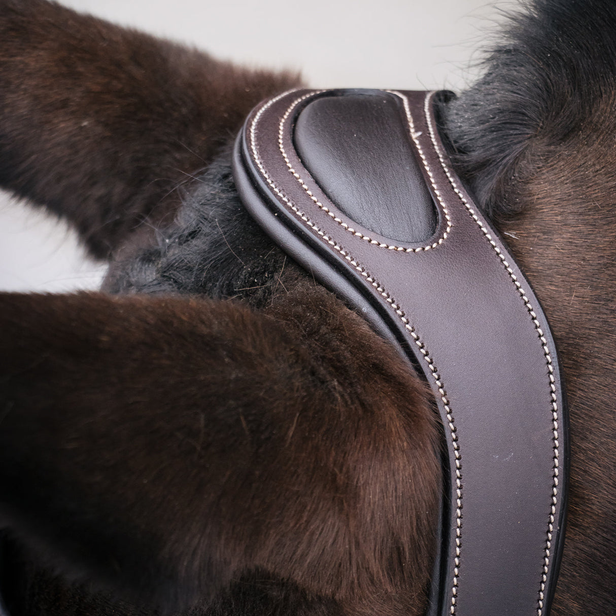 Mondega Marocchino Hunter Bridle