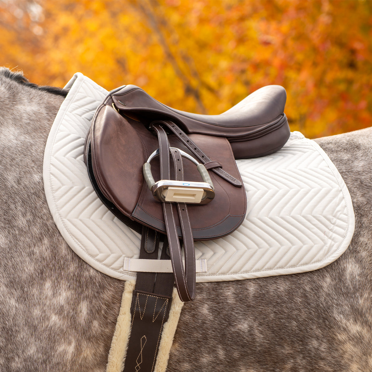 Everyday Essential Saddle Pad