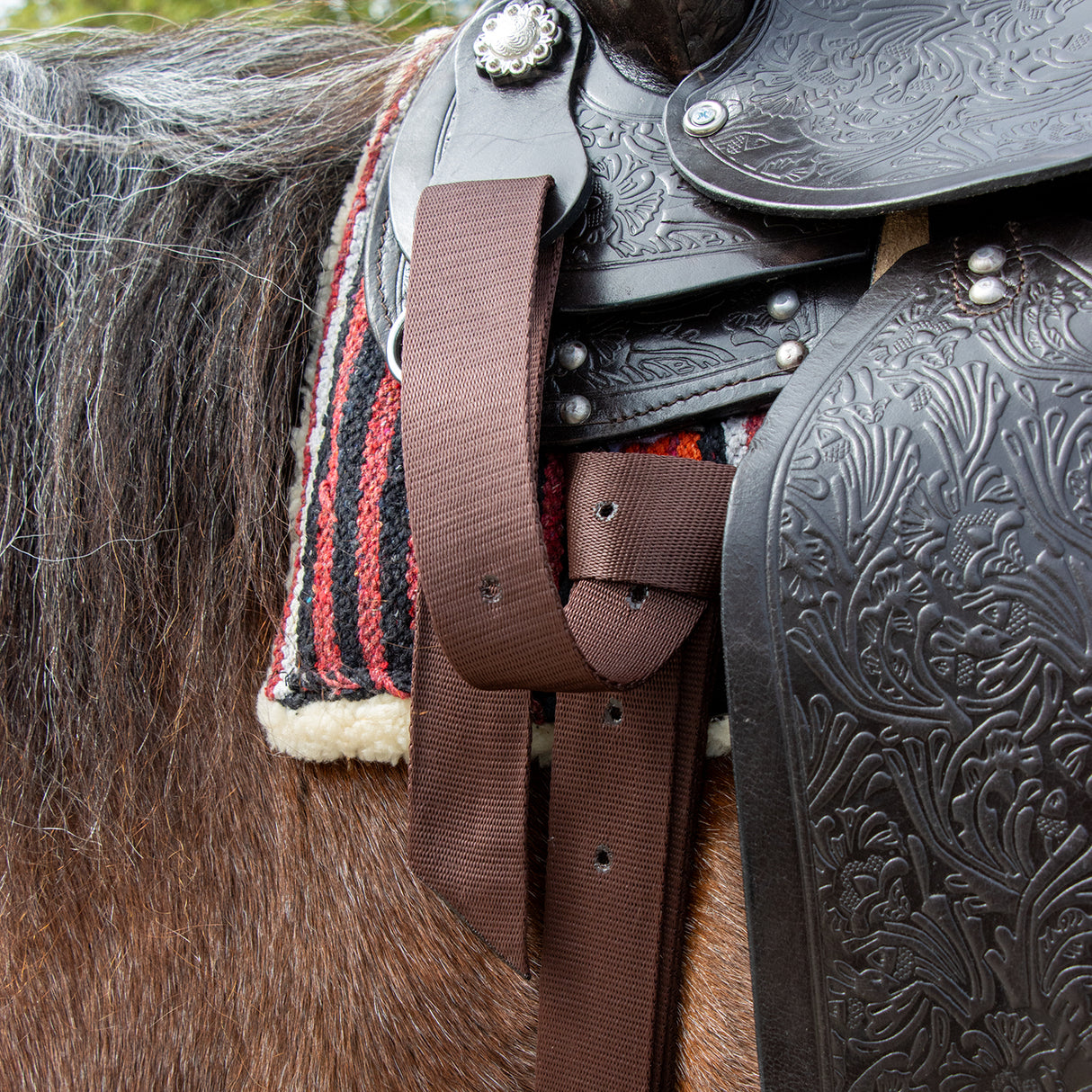 Copper Canyon Nylon Cinch Strap W/ Holes