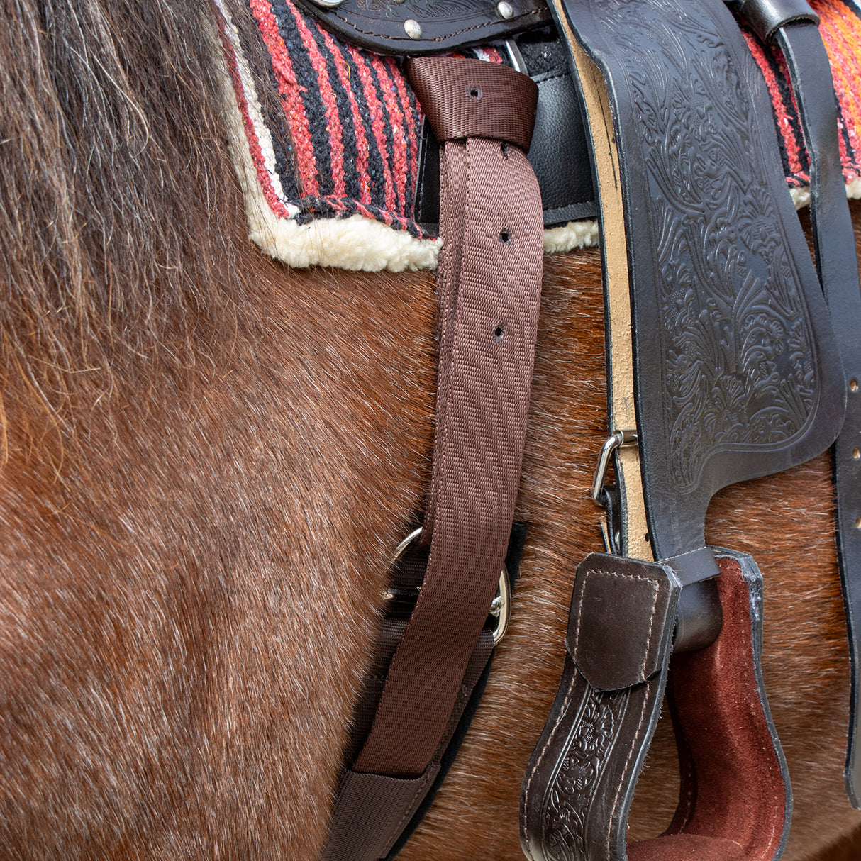 Copper Canyon Nylon Cinch Strap W/ Holes