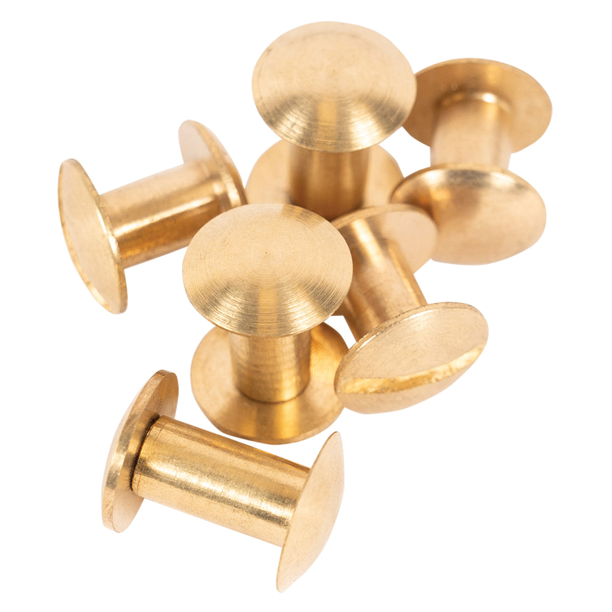 Shedrow Chicago Screws