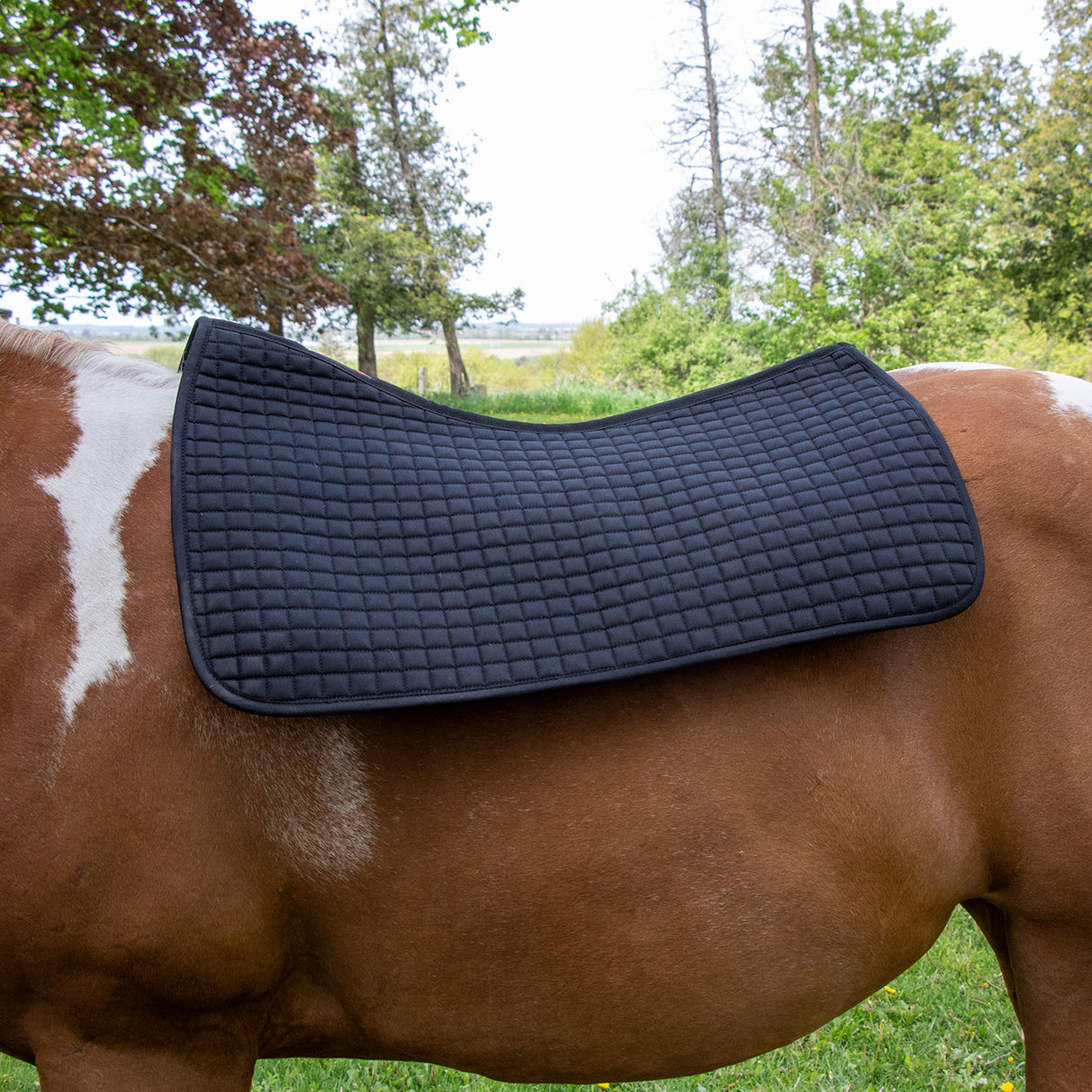 Thermal Therapy Western Underpad