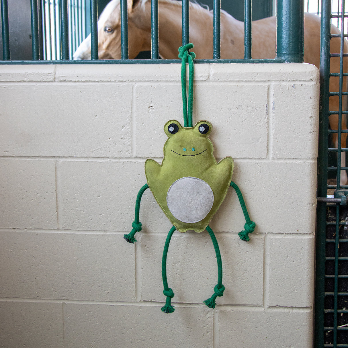 Holland James Frog Horse Toy