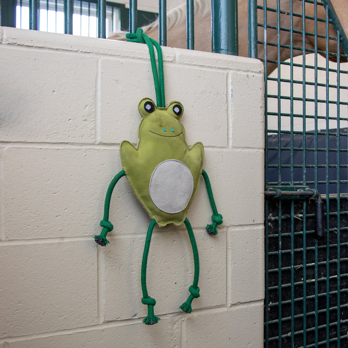 Holland James Frog Horse Toy