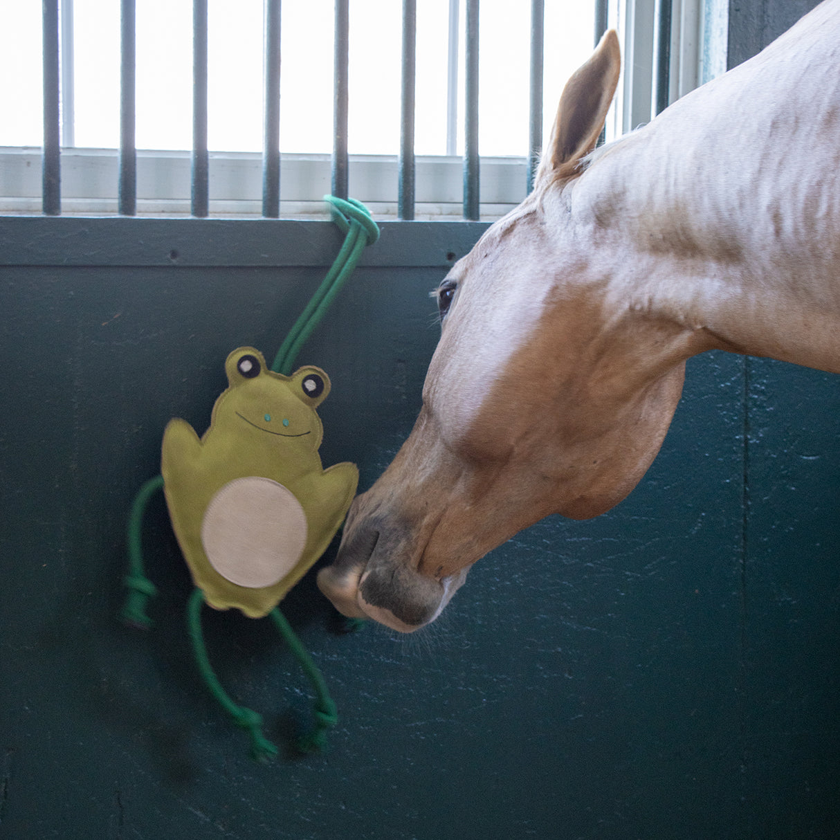Holland James Frog Horse Toy