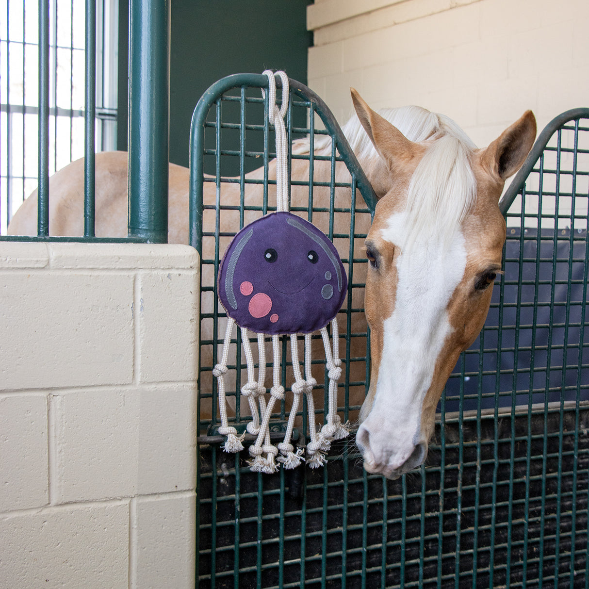 Holland James Octopus Horse Toy