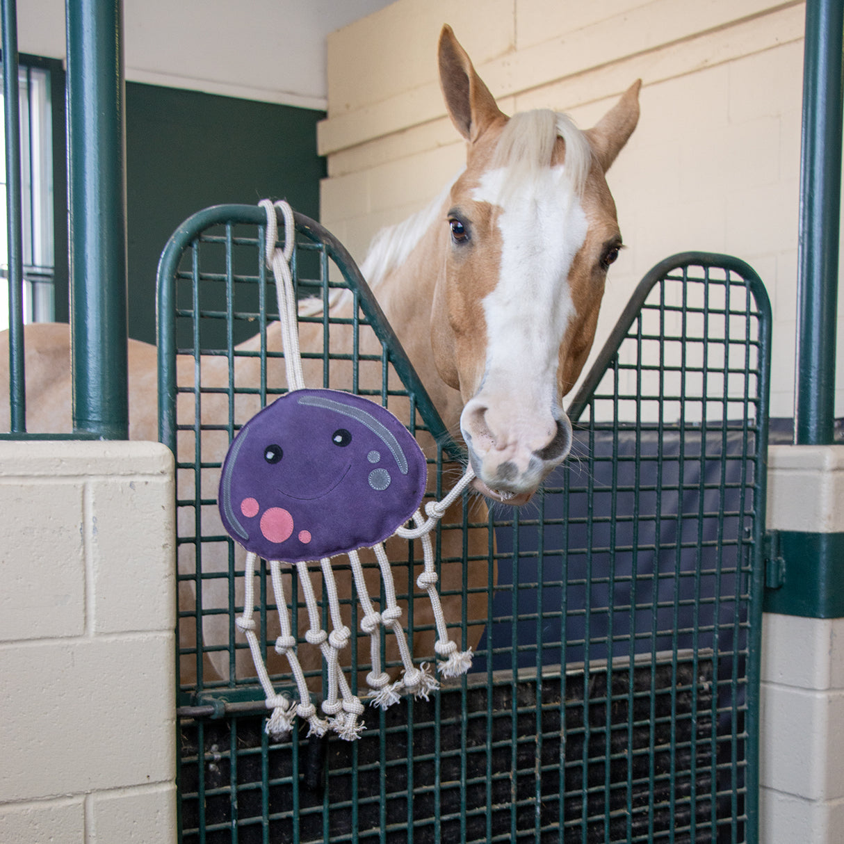 Holland James Octopus Horse Toy