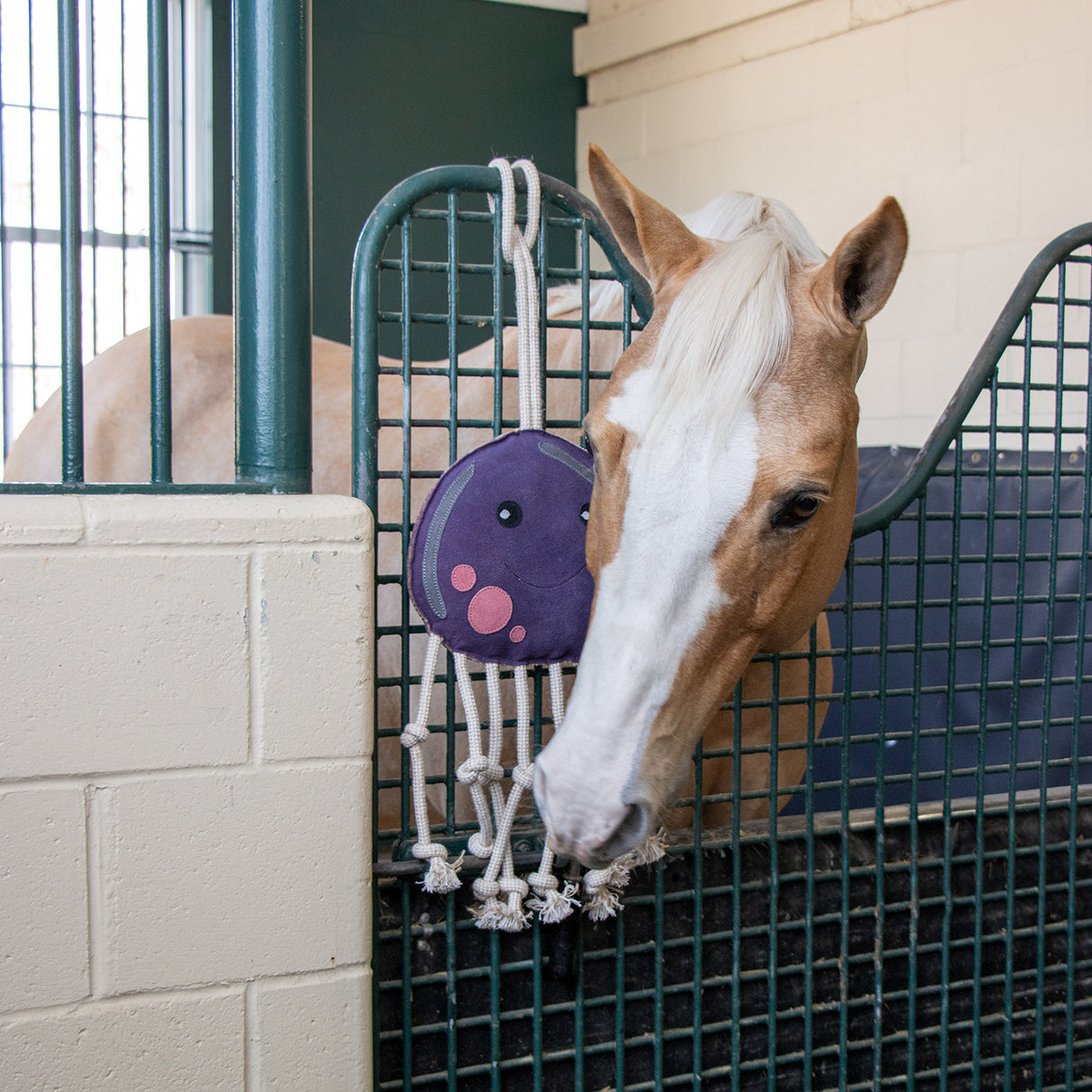 Holland James Octopus Horse Toy