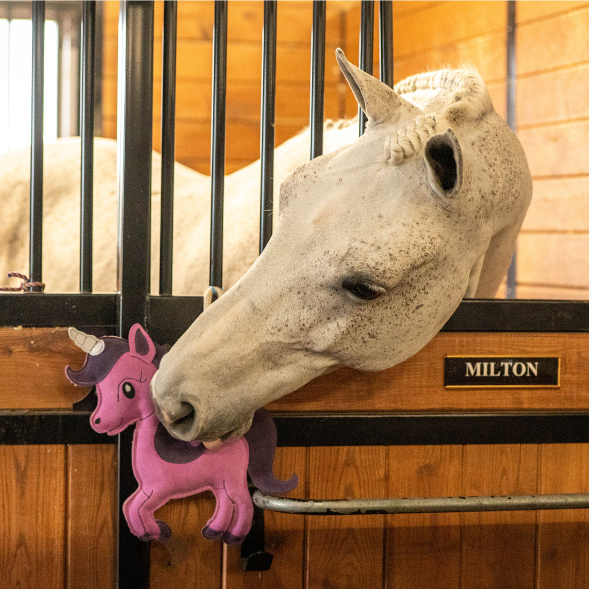 Holland James Unicorn Horse Toy
