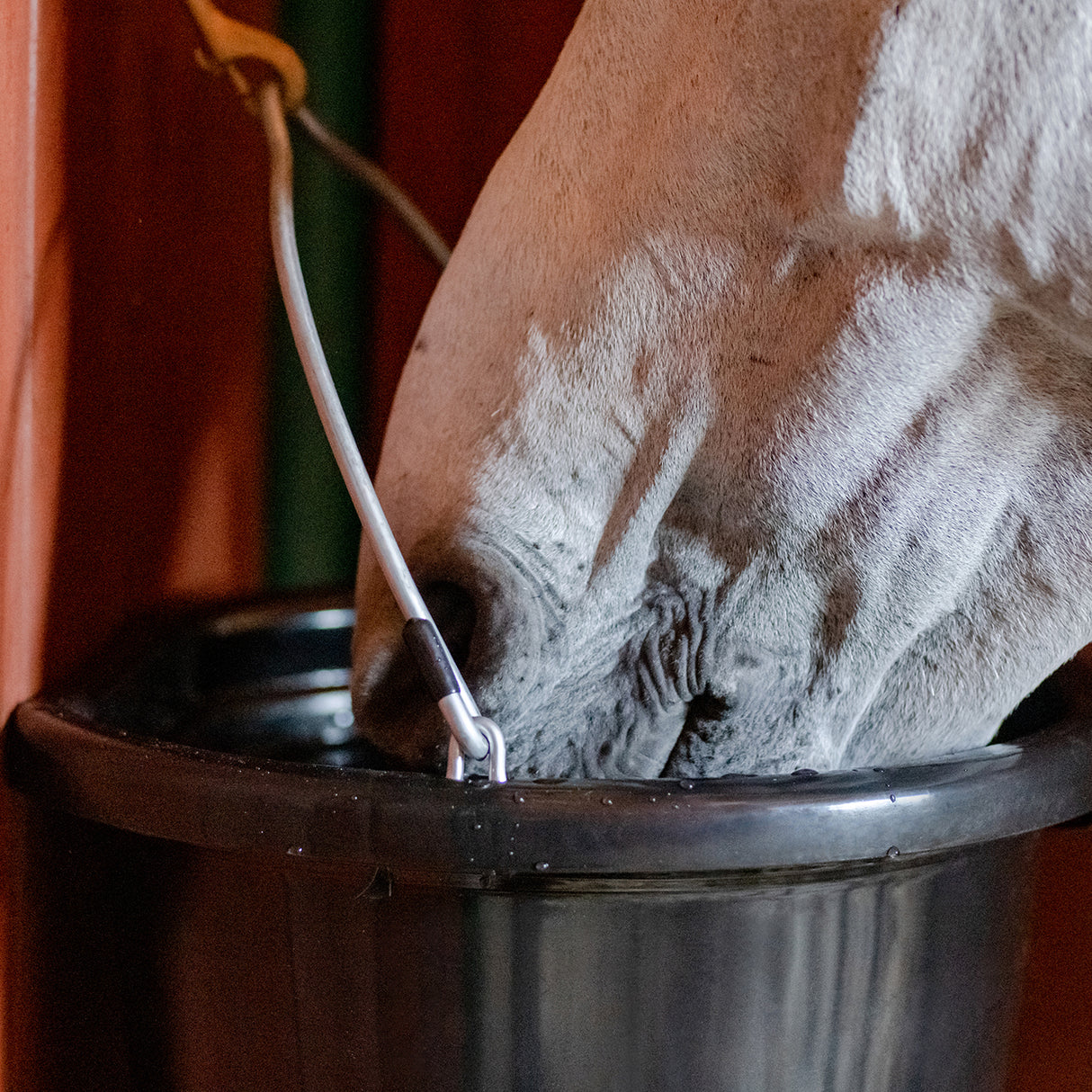 EquiFit AgSilver CleanBucket