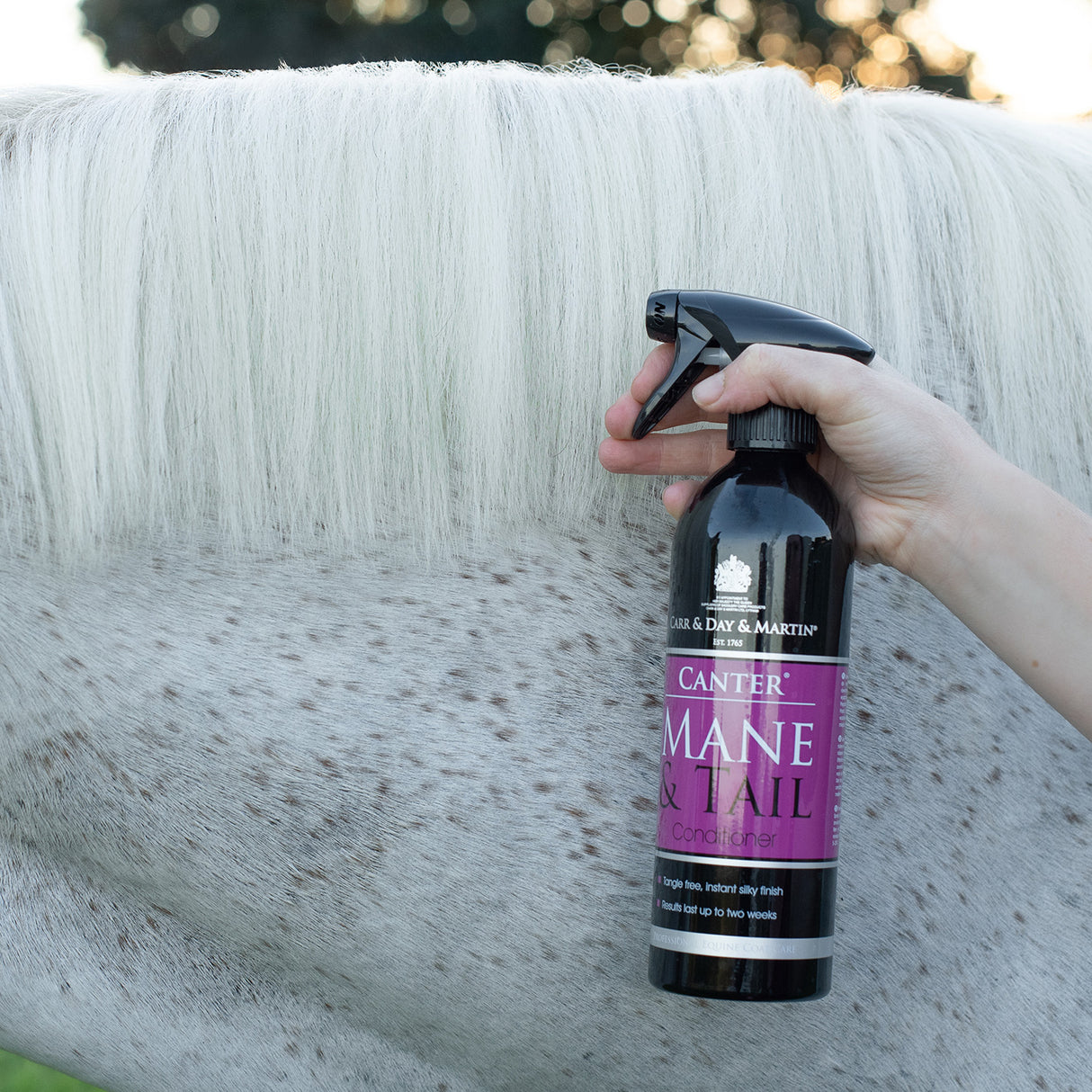 Carr & Day & Martin Equimist Canter Mane & Tail Conditioner 16.9 oz.