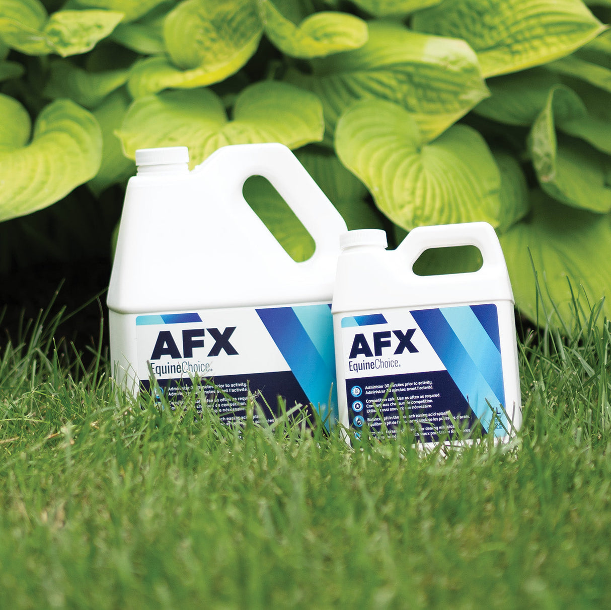 Equine Choice AFX 34 oz.