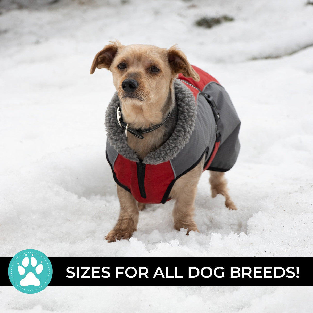 Shedrow K9 Chinook Dog Coat