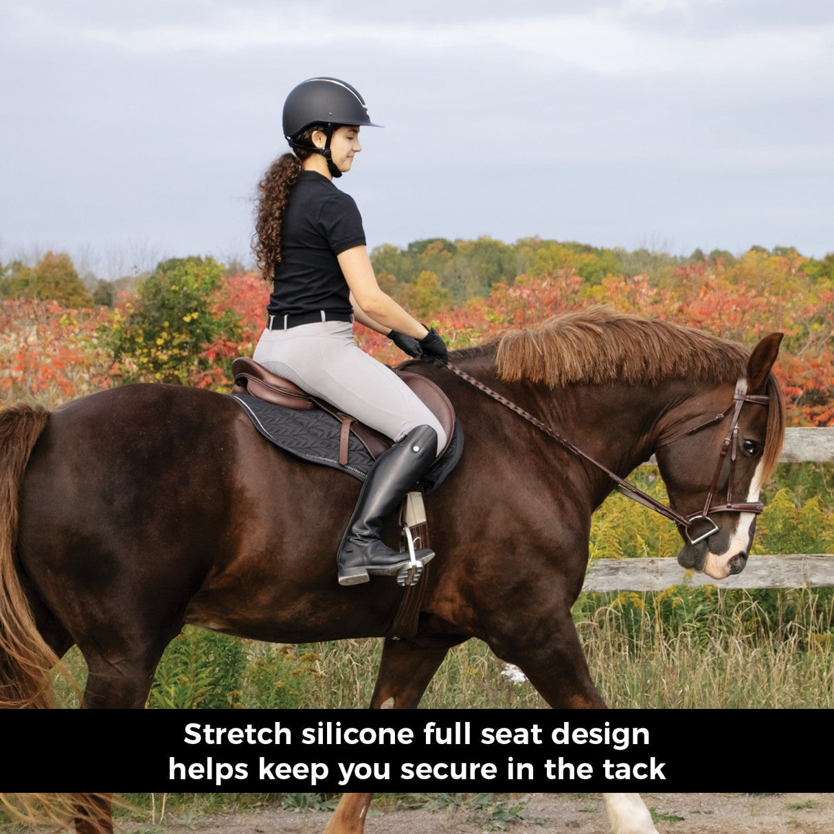 Elation Red Label Sport Full Seat Breech