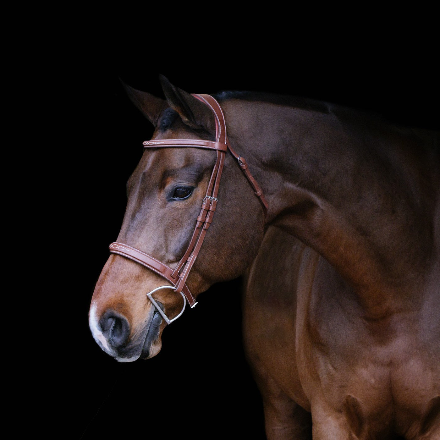 Mondega Gayo Classic Hunter Bridle
