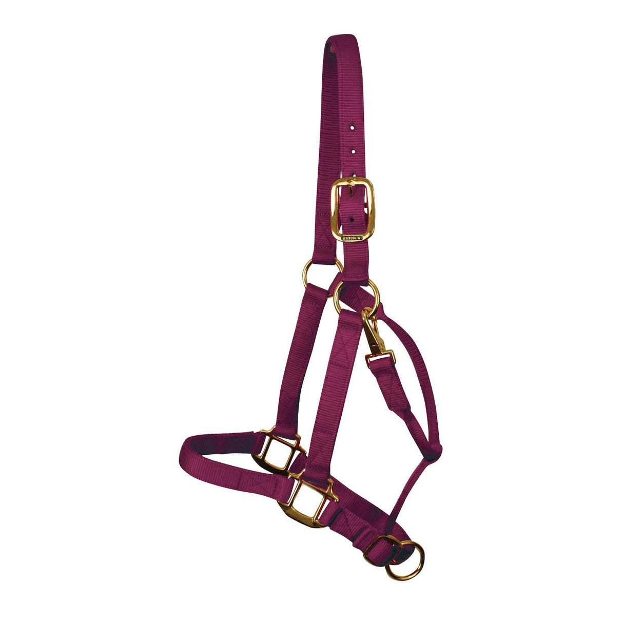 Shedrow Deluxe Halter