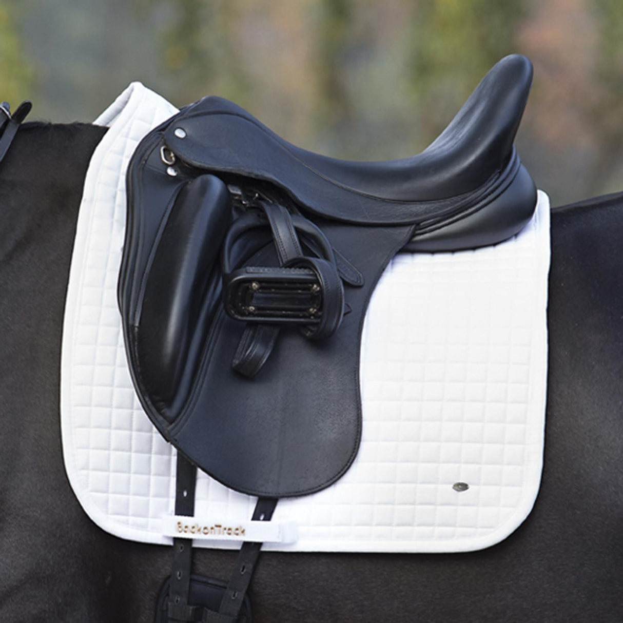 Back on Track Dressage Saddle Pad