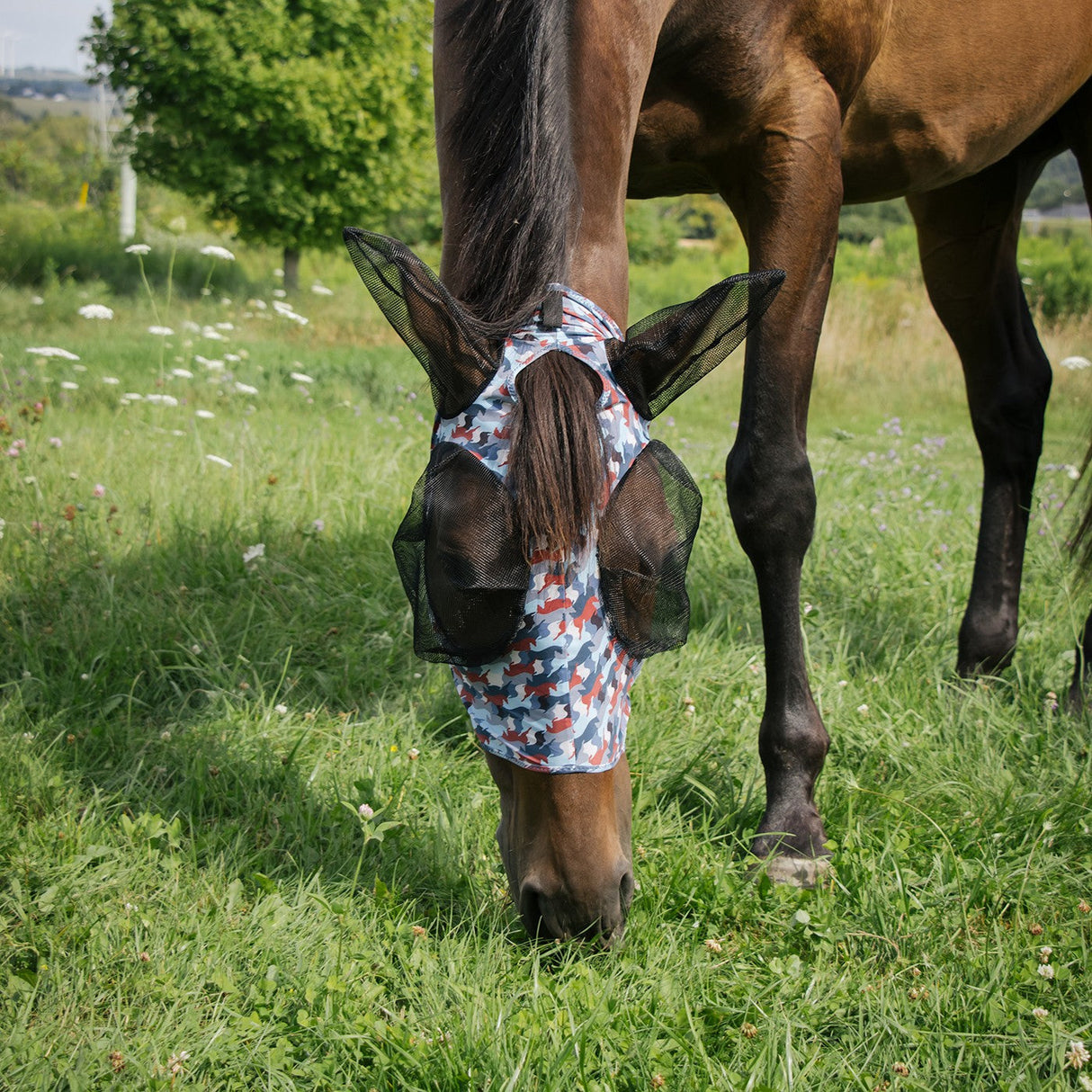 Summit Fly Mask W/ Forelock Hole