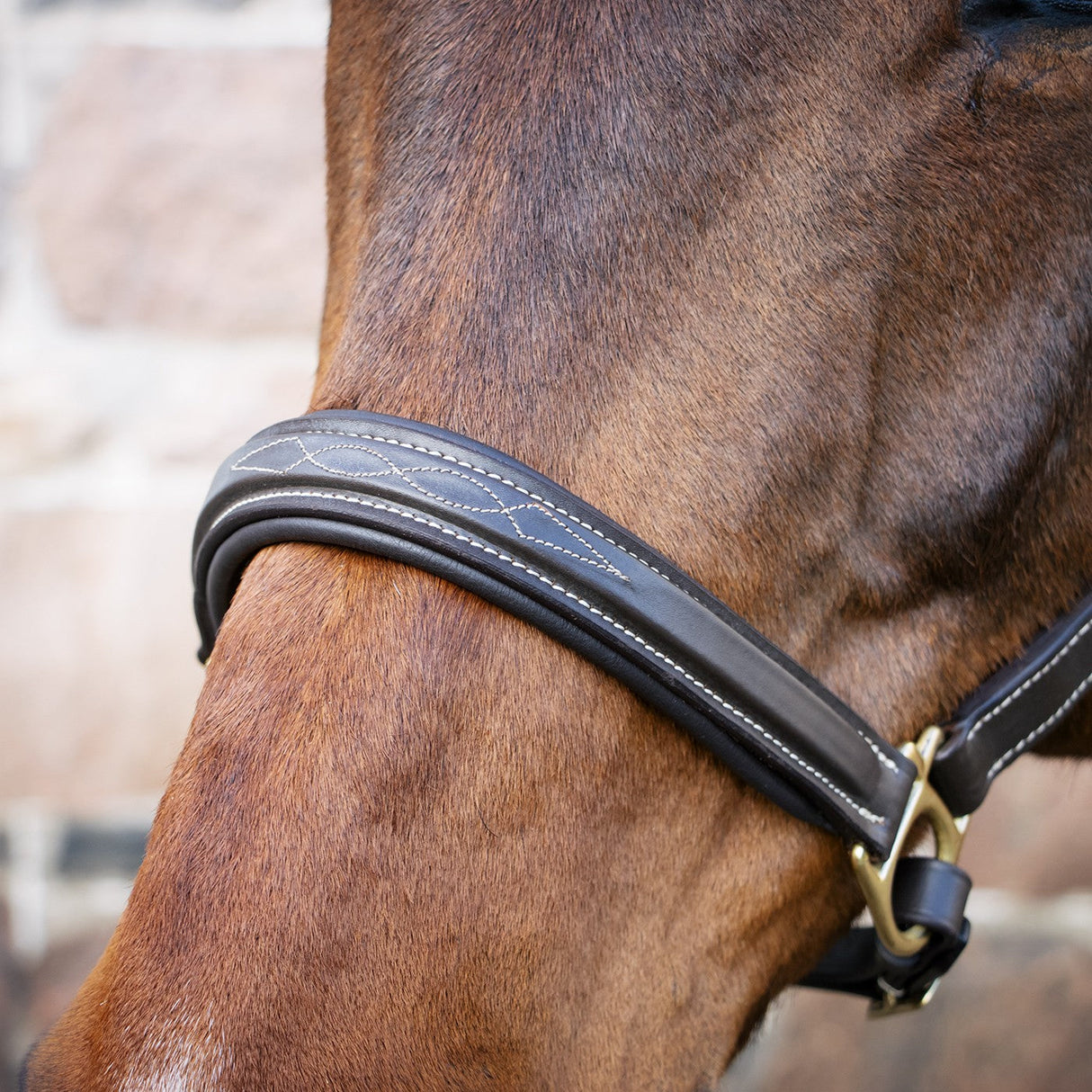 Val du Bois Padded Fancy Stitched Halter