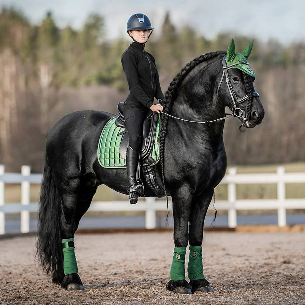 LeMieux Loire Polo Wraps