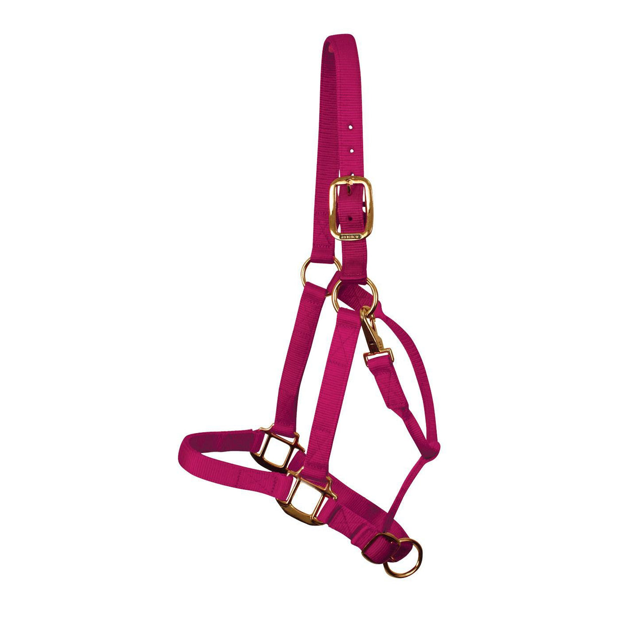 Shedrow Deluxe Halter