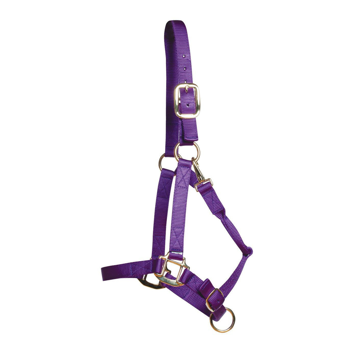 Shedrow Deluxe Halter