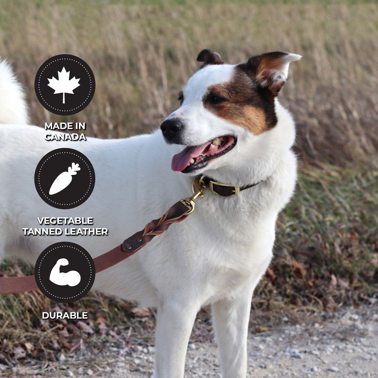 Shedrow K9 Bristol Twisted Leather Leash 5 ft.