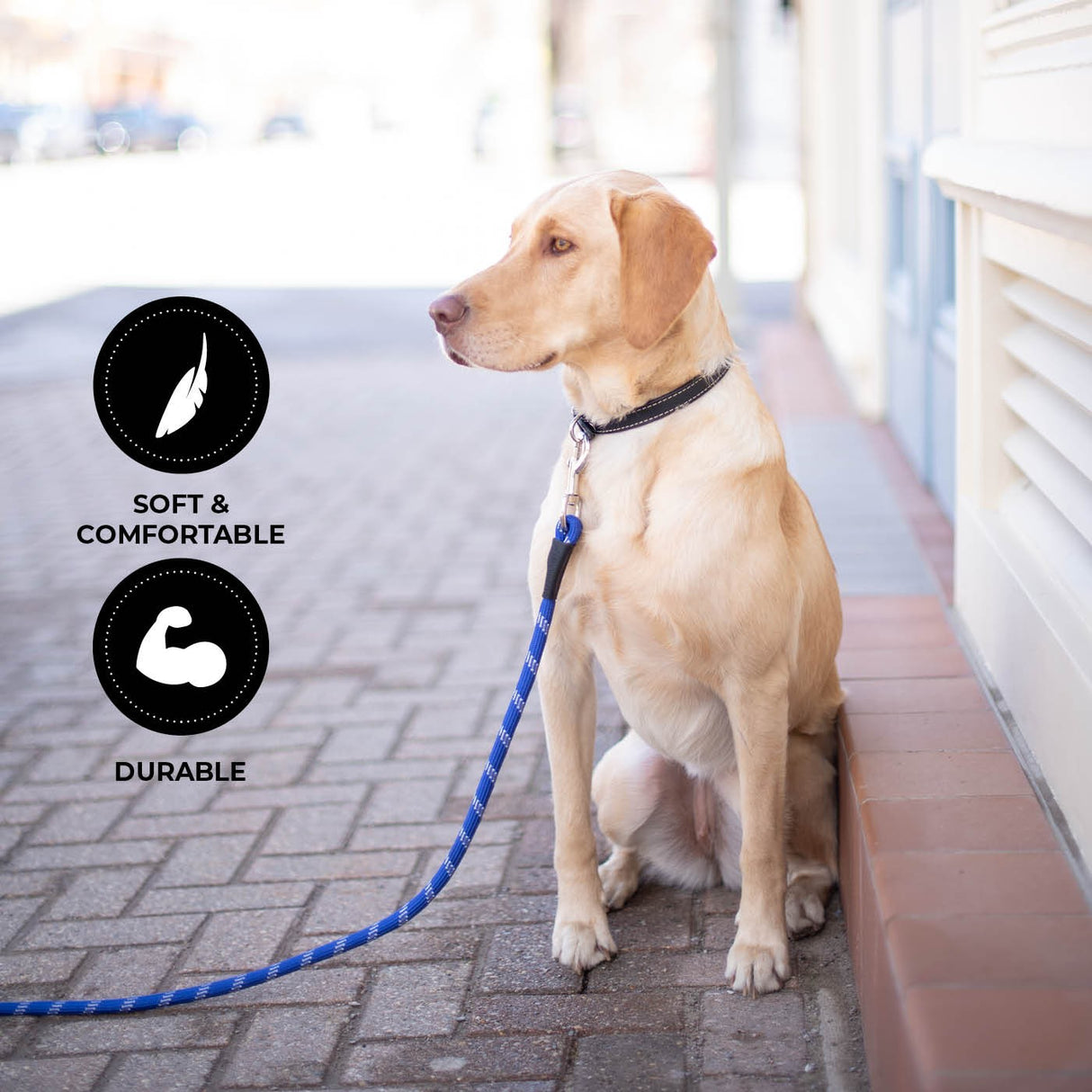 Shedrow K9 Camino Rope Leash