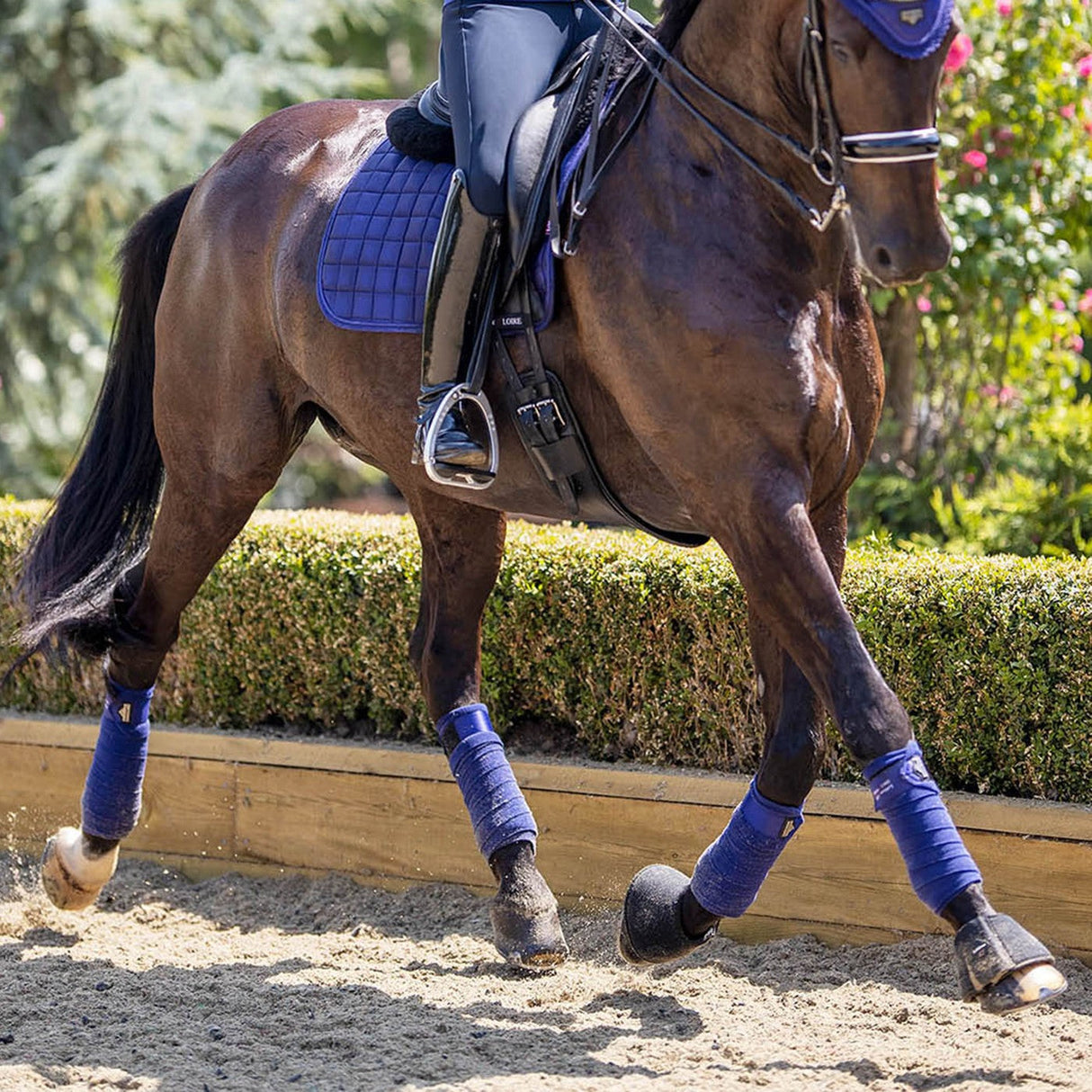 LeMieux Loire Polo Wraps