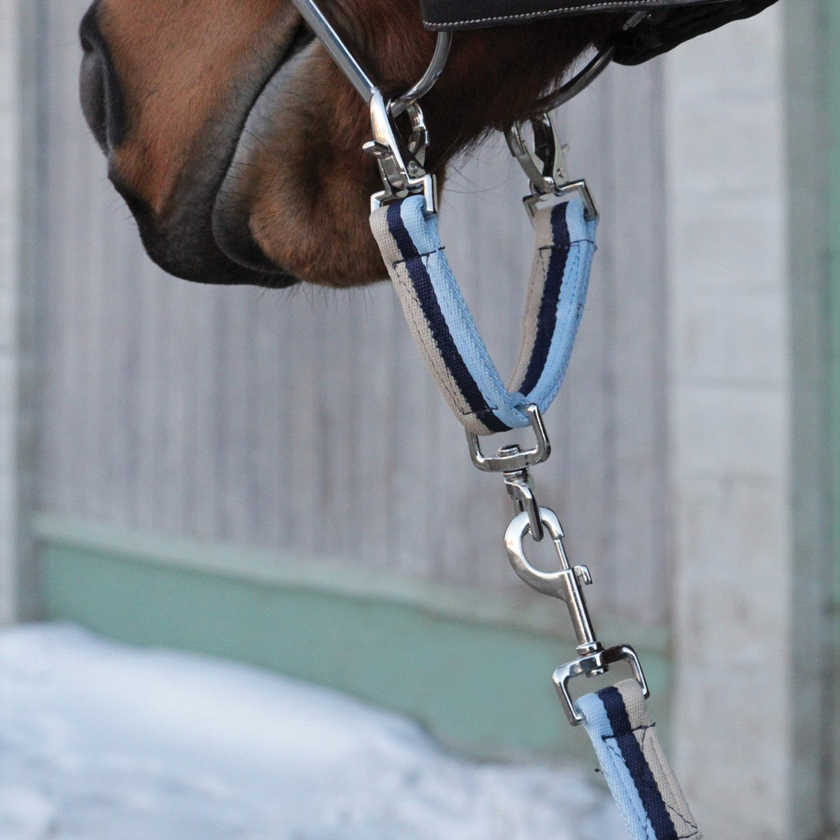 Supra Smart Lunge Set