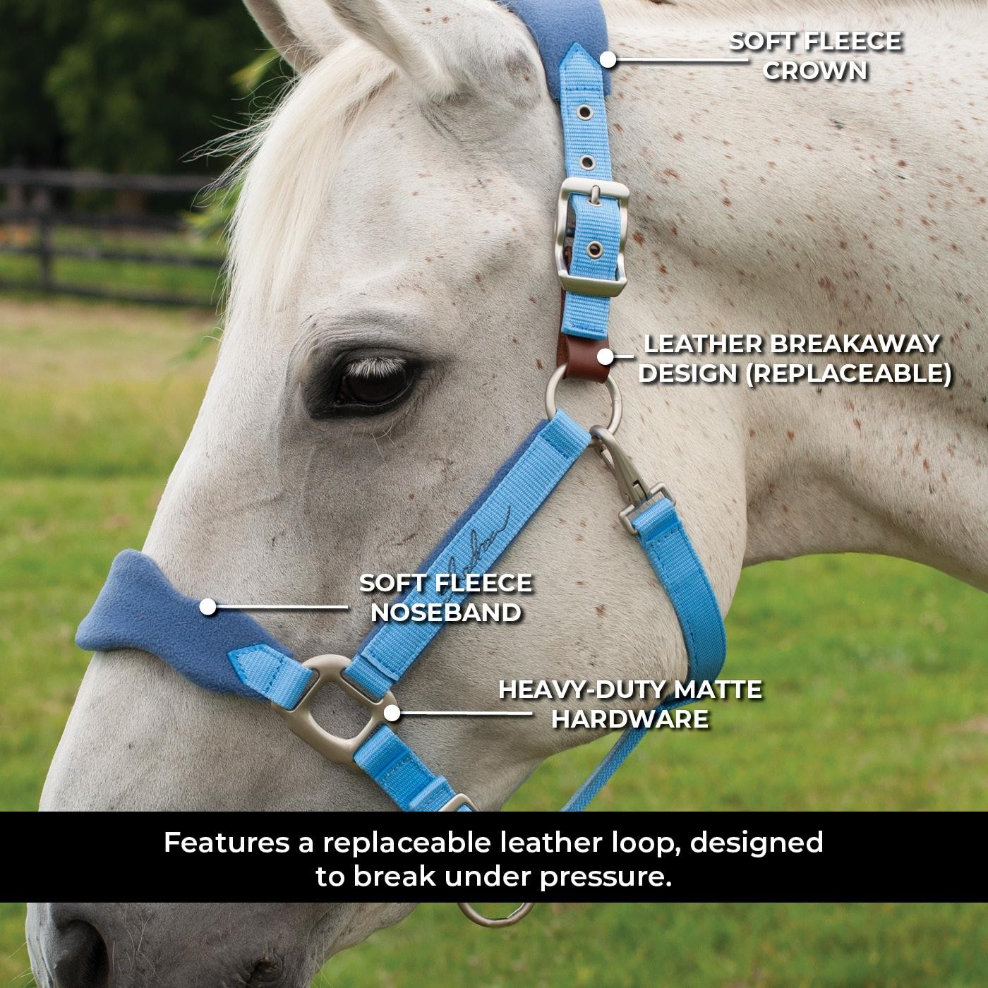 Shedrow Breakaway Halter W/ Fleece