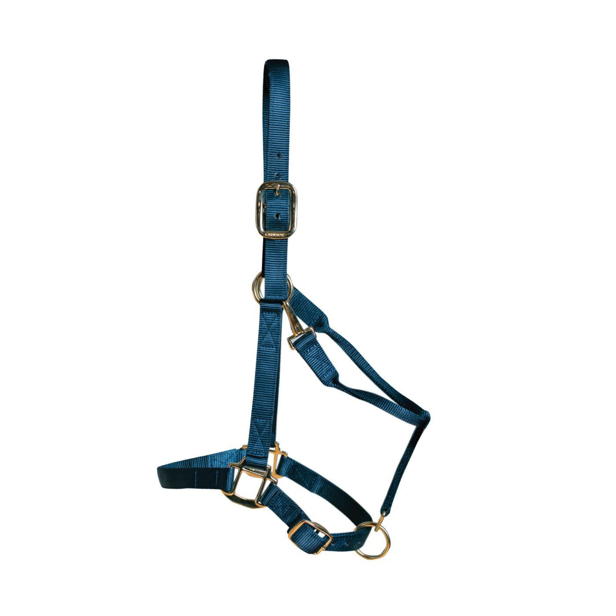 Shedrow Deluxe Halter