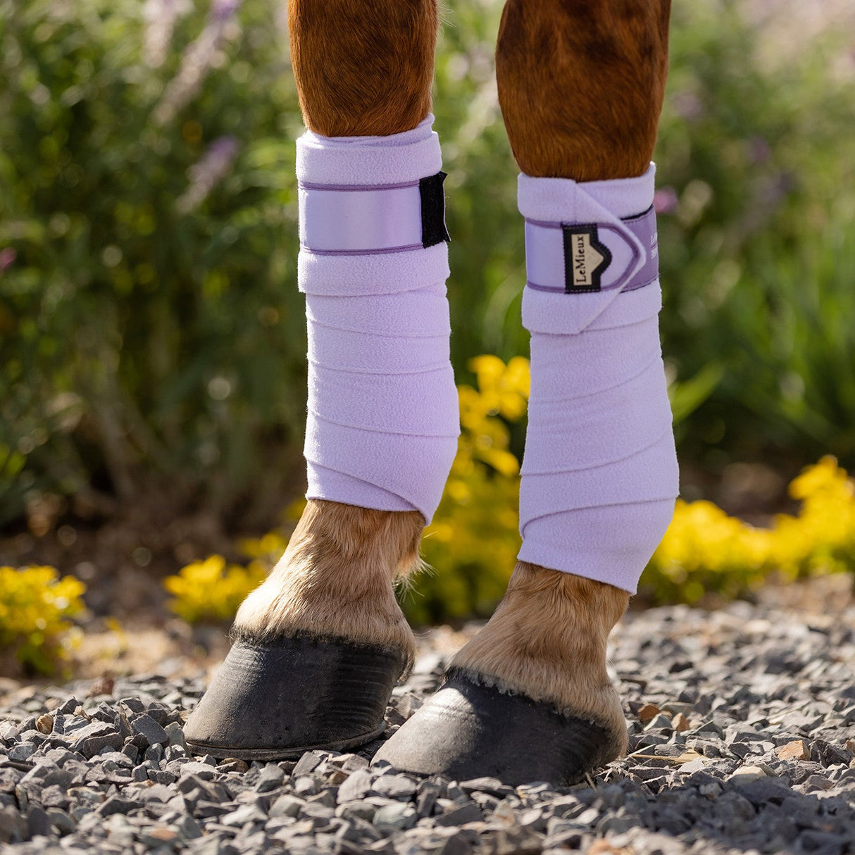 LeMieux Loire Polo Wraps