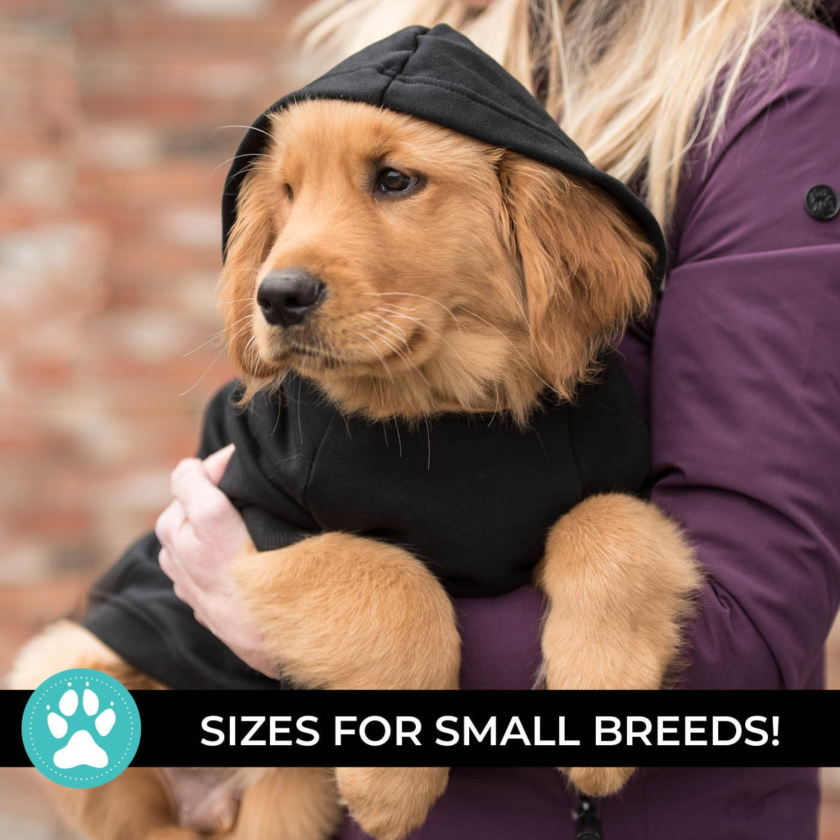 Shedrow K9 Brentwood Dog Hoodie