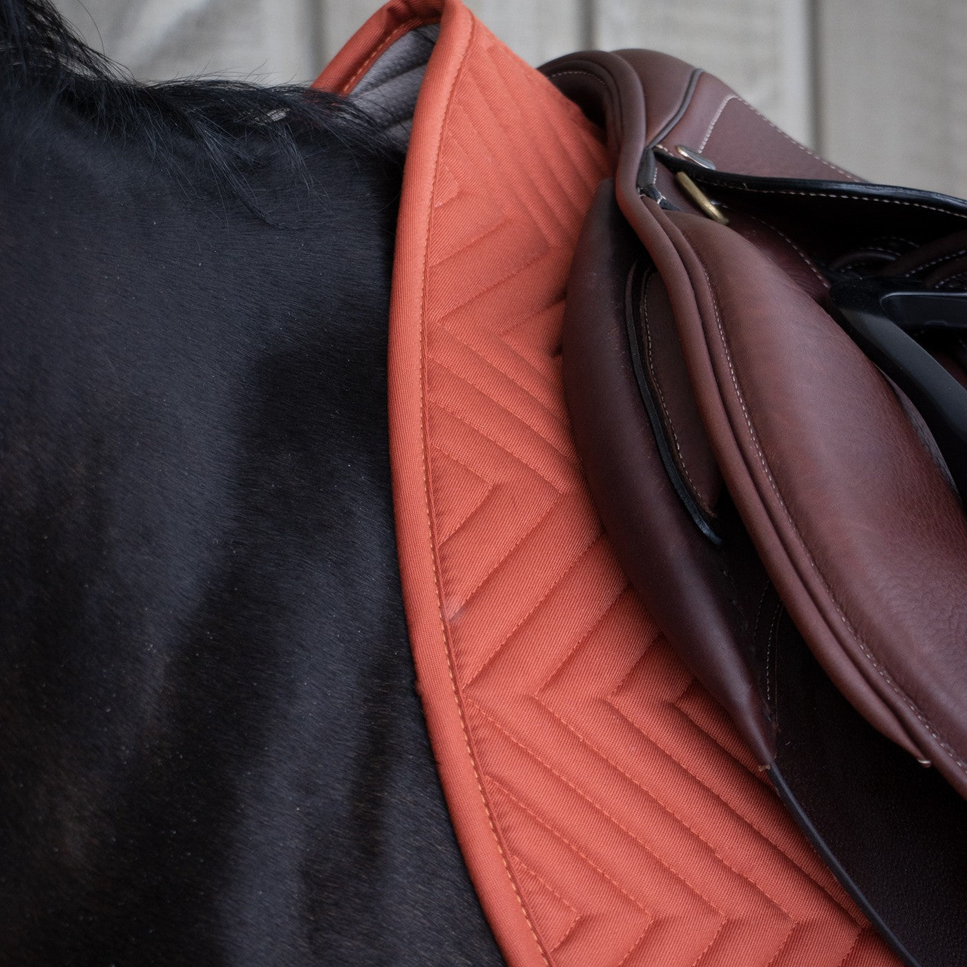 Supra Every Day Essential Saddle Pad