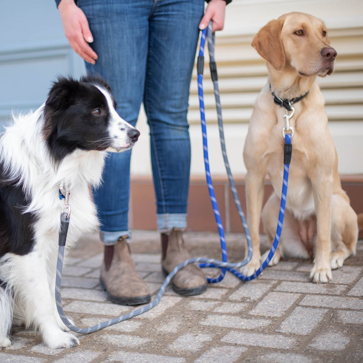 Shedrow K9 Camino Rope Leash