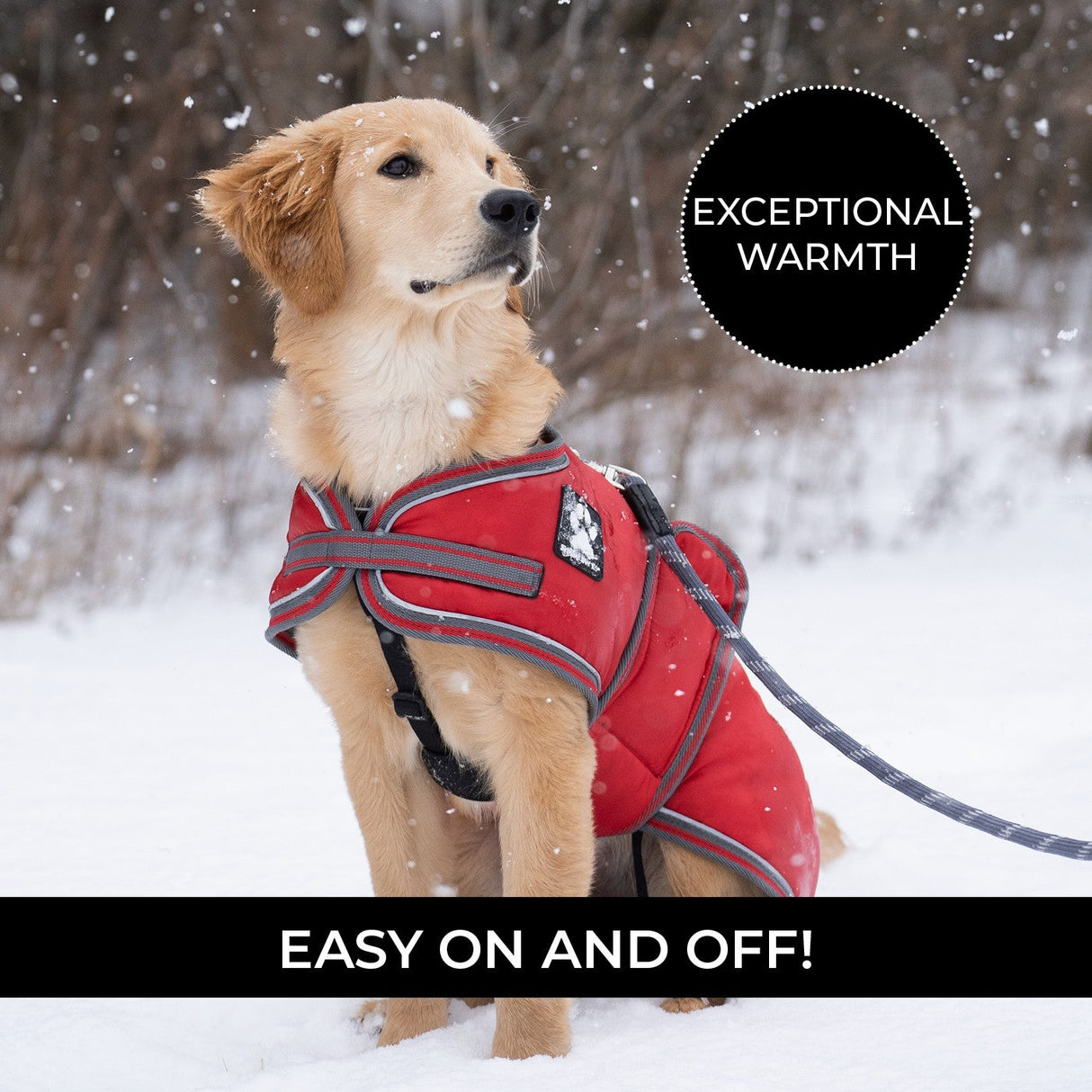 Shedrow K9 Vail Dog Coat