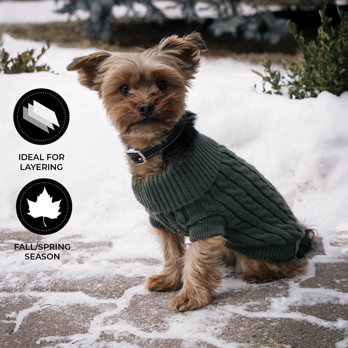 Shedrow K9 Brentwood Cable Knit Dog Sweater