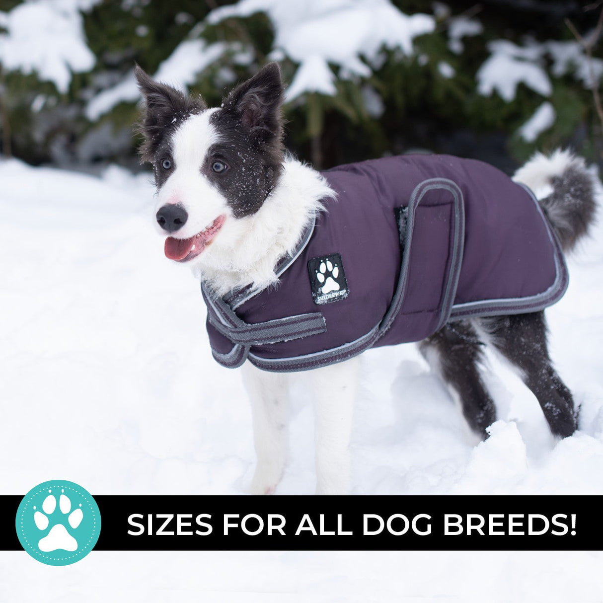 Shedrow K9 Vail Dog Coat