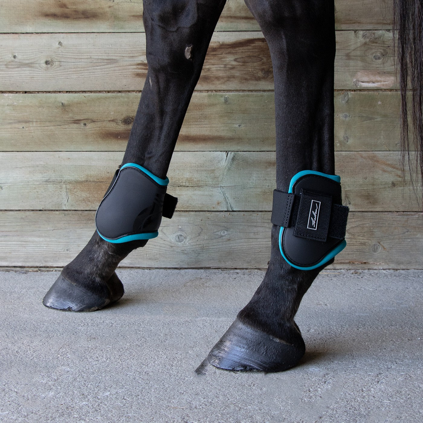 Shedrow Fetlock Boots W/ Colored Lining