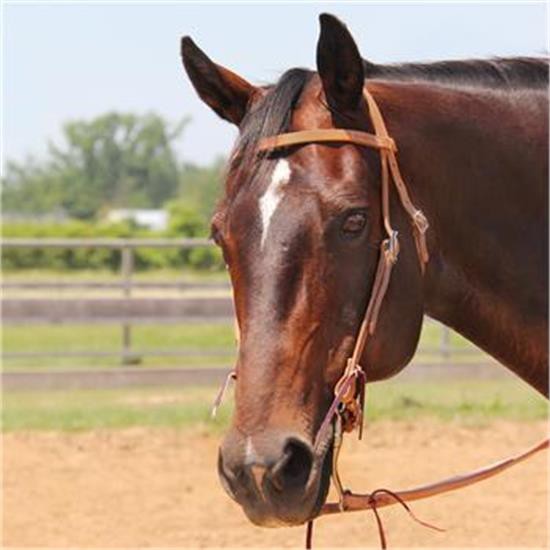 Copper Canyon Bridle Leather Browband Headstall W/ Ties