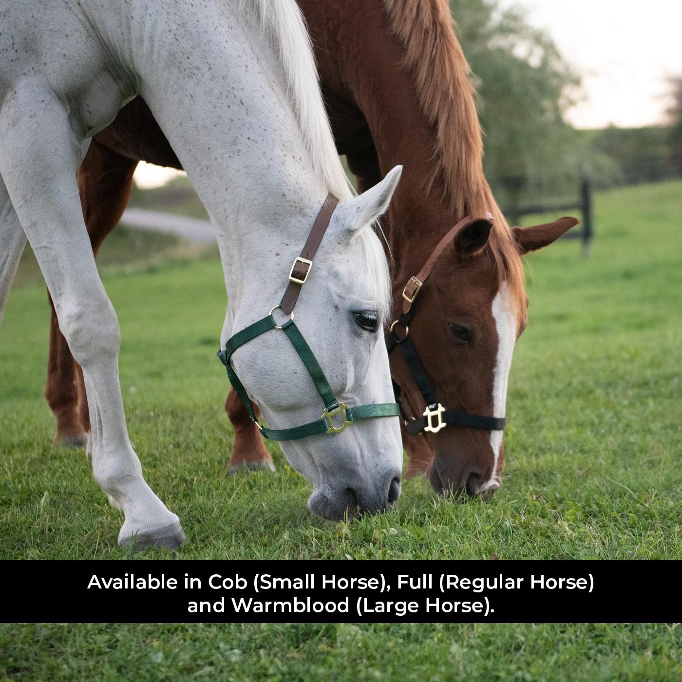 Supra Nylon Halter W/ Leather Crown