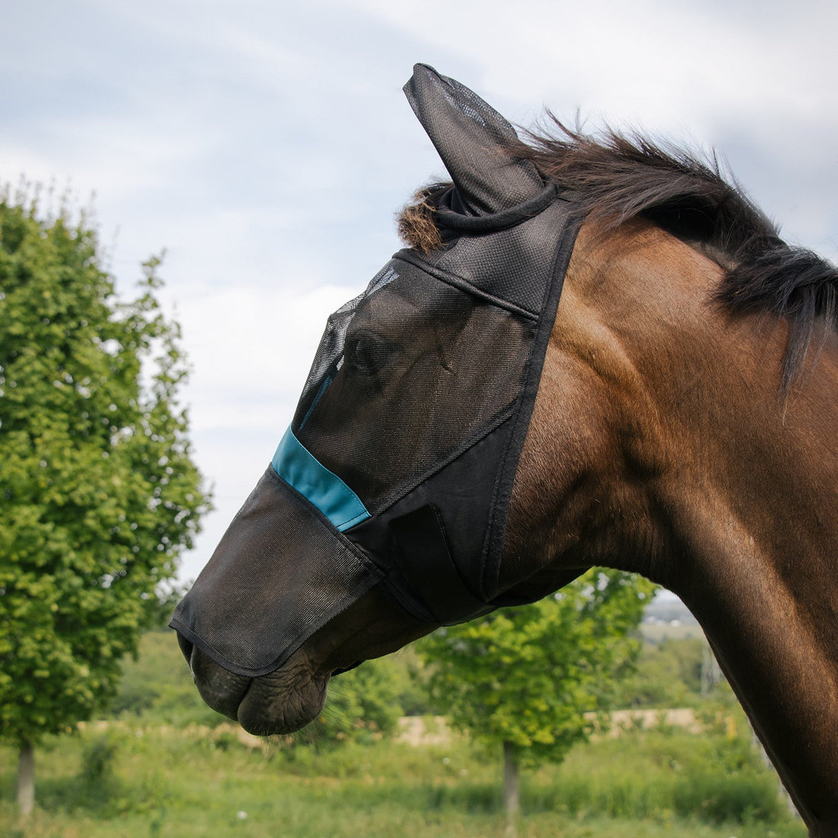 Shedrow Fly Mask W/ Ears & Nose Cover
